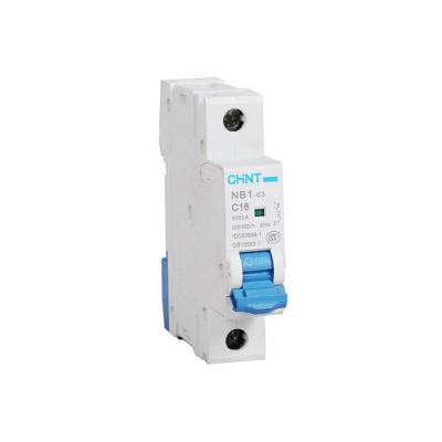 CHINT/正泰電器 NB1Z-63 1P C6 AC230/400V DC220V(R)  交直流微型斷路器 12只/盒，180只/箱